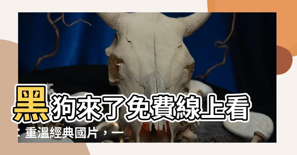 【黑狗來了免費線上看】黑狗來了免費線上看：重温經典國片，一起見證台灣電影的黃金年代