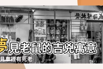 【夢見老鼠在我車上】夢見老鼠的吉兇寓意 |夢見車裡有死老鼠 |做夢夢見老鼠好不好 |