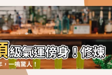 【頂級氣運悄悄修煉千年txt】頂級氣運傍身！修煉千年，一鳴驚人！