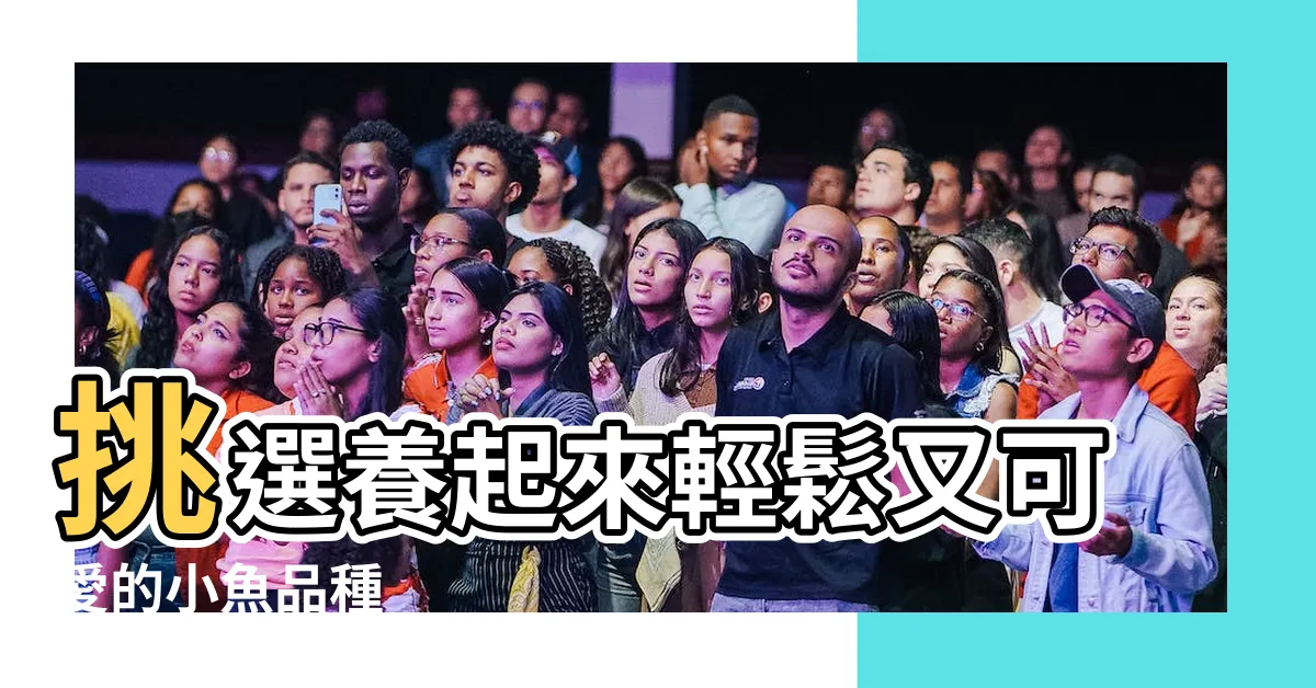 【好養的小魚】挑選養起來輕鬆又可愛的小魚品種