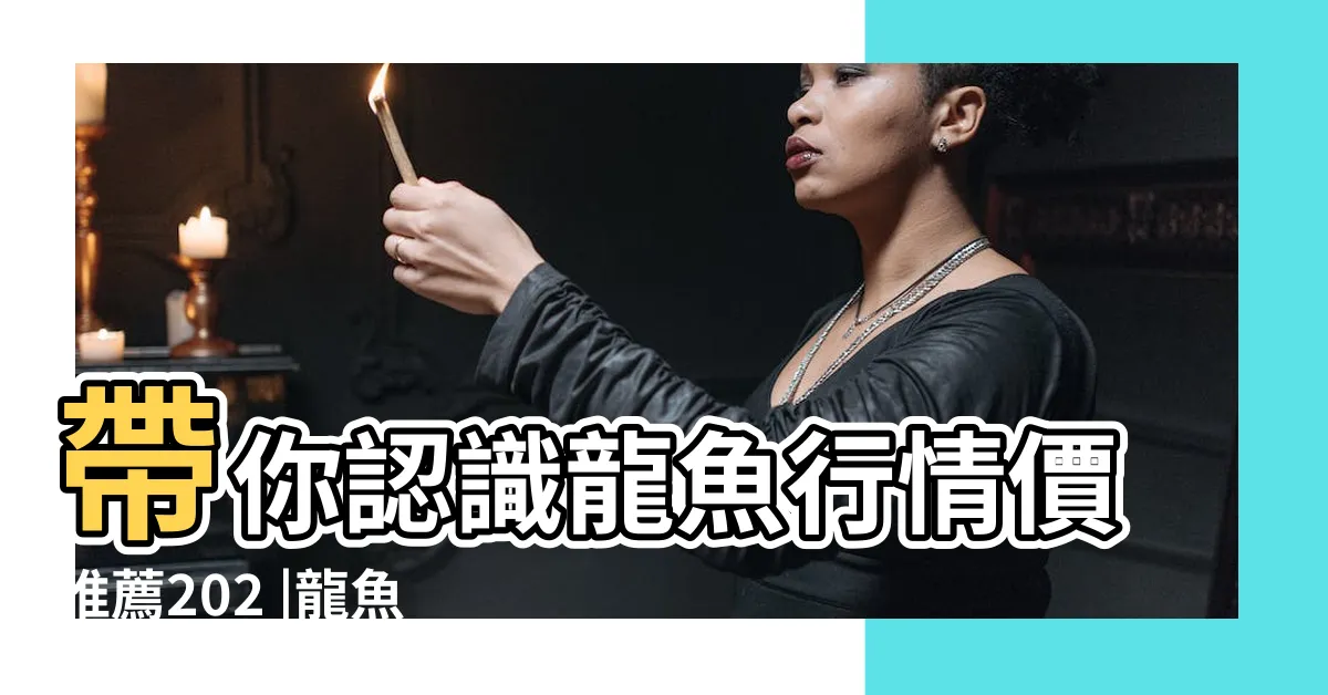 【血紅龍魚價格】帶你認識龍魚行情價推薦202 |龍魚價格介紹 |一條魚換一間房 |