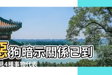 【夢見男朋友狗和我】惡狗暗示關係已到 |夢見4種事物代表愛情現危機病貓 |做夢夢見狗好不好 |