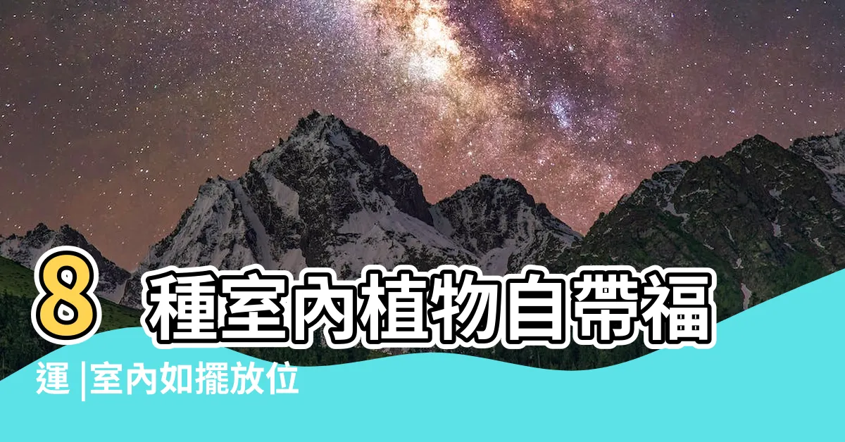 【招財 室內 植物】8種室內植物自帶福運 |室內如擺放位置與如何 |十大招財植物選擇 |