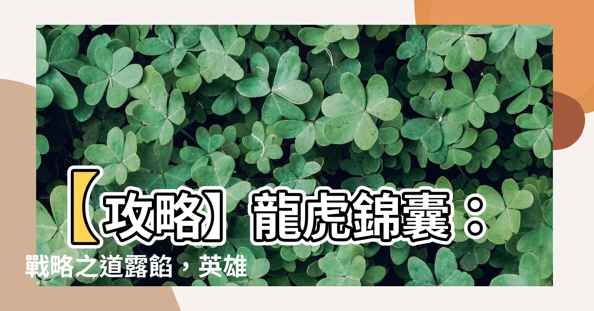 【龍虎錦囊】【攻略】龍虎錦囊：戰略之道露餡，英雄謀略一網成擒