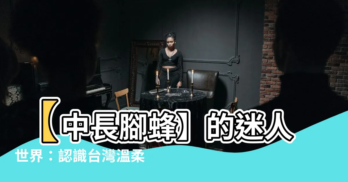 【中長腳蜂】【中長腳蜂】的迷人世界：認識台灣温柔的巨人