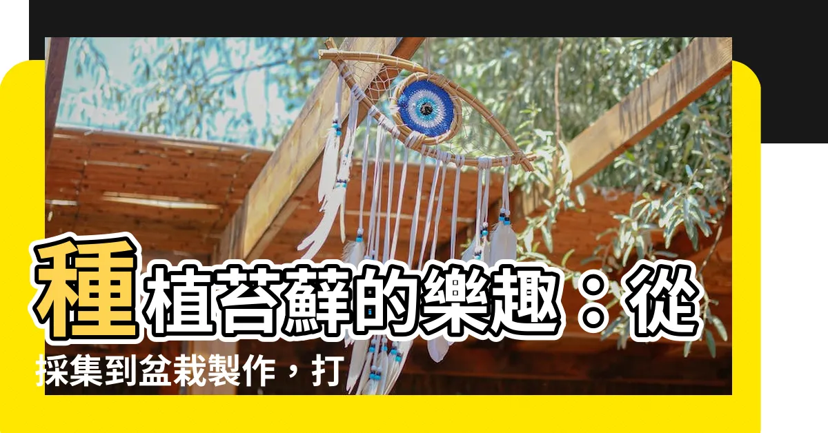 【種苔蘚】種植苔蘚的樂趣：從採集到盆栽製作，打造充滿生機的綠色小世界！