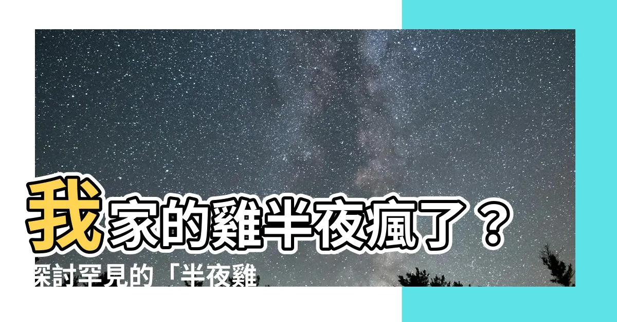 【半夜雞啼】我家的雞半夜瘋了？探討罕見的「半夜雞啼」現象