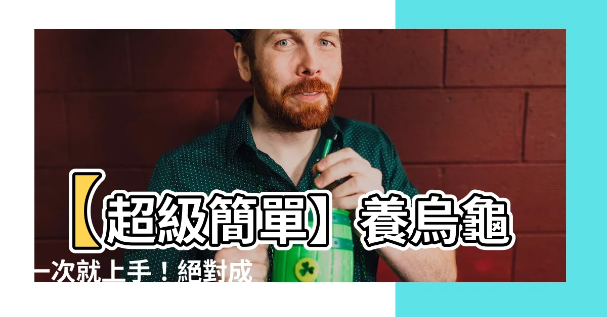 【烏龜飼養】【超級簡單】養烏龜一次就上手！絕對成功的烏龜飼養指南！