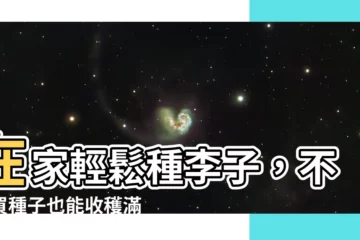 【種李子】在家輕鬆種李子，不用買種子也能收穫滿滿！