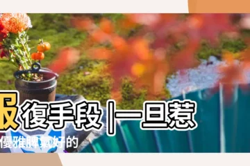 【惹毛天秤】報復手段 |一旦惹毛 |優雅脾氣好的 |