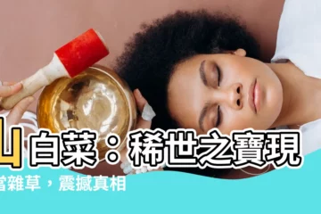 【山白菜】山白菜：稀世之寶現誤當雜草，震撼真相曝光！