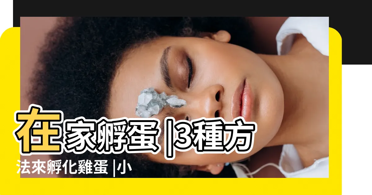 【孵蛋】在家孵蛋 |3種方法來孵化雞蛋 |小雞21 |