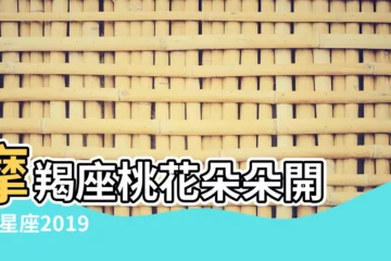 【2019三月2號天蠍座運勢】摩羯座桃花朵朵開 |12星座2019年3月運勢 |2019年3月星座運勢 |