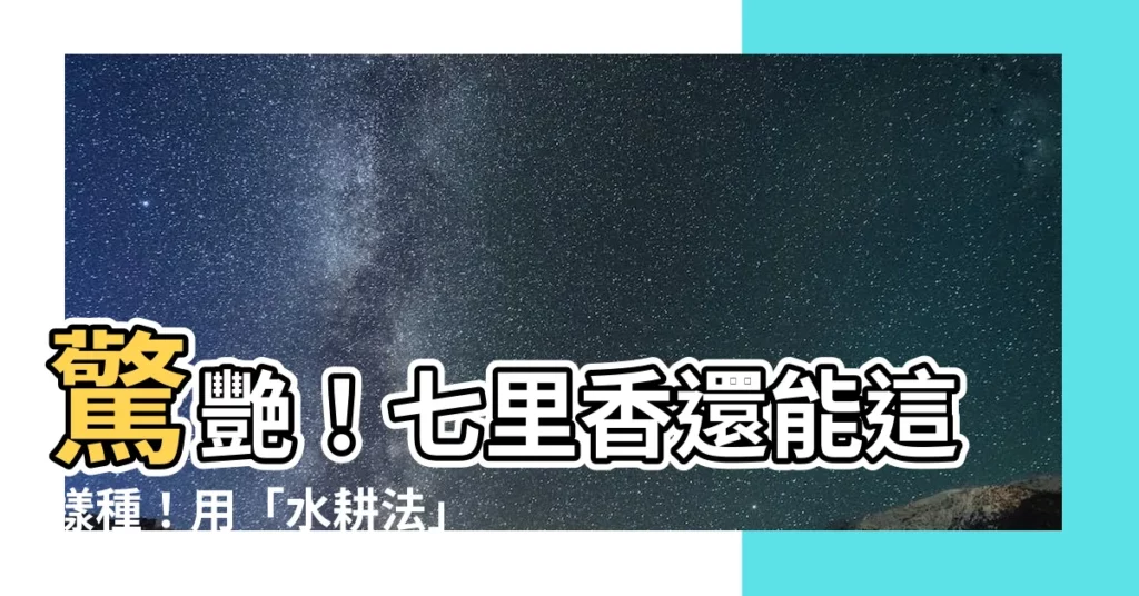 【七里香水耕】驚艷！七里香還能這樣種！用「水耕法」養護，絕美又無敵簡單！