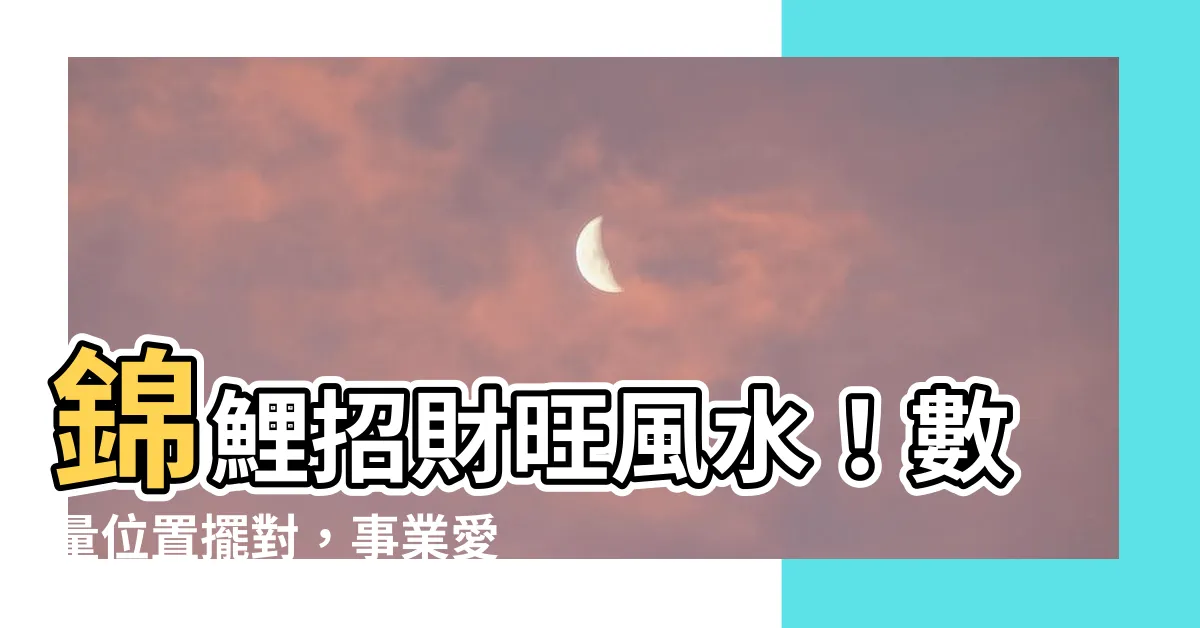 【招財鯉魚】錦鯉招財旺風水！數量位置擺對，事業愛情順遂