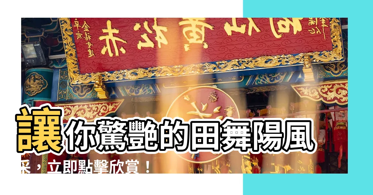 【田舞陽】讓你驚艷的田舞陽風采，立即點擊欣賞！