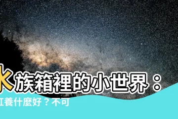 【魚缸可以養什麼】水族箱裡的小世界：魚缸養什麼好？不可思議的寵物選擇！