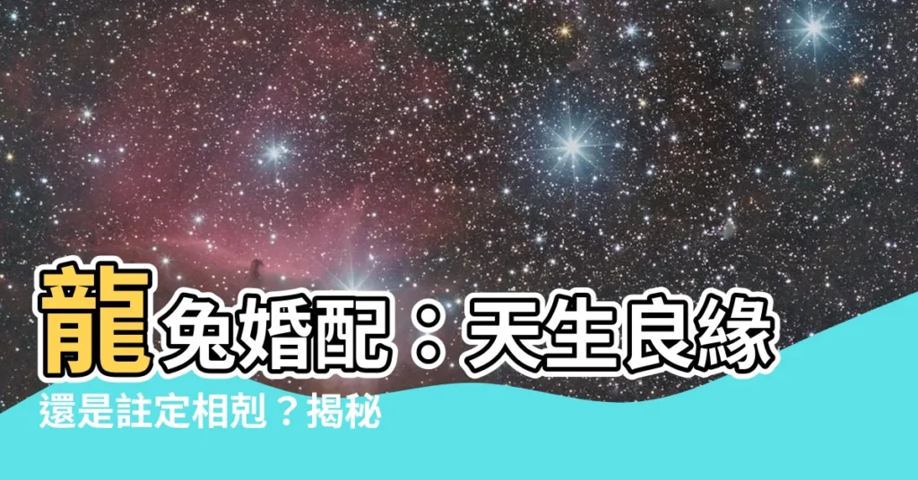 【龍與兔】龍兔婚配:天生良緣還是註定相剋?揭秘十二生肖的神秘組合