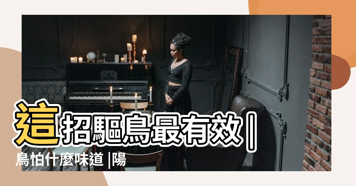【鳥停在陽台】這招驅鳥最有效 |鳥怕什麼味道 |陽台驅鳥大作戰 |