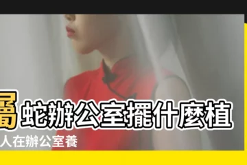 【屬蛇的辦公室放什麼花】屬蛇辦公室擺什麼植物 |人在辦公室養什麼花會財運亨通 |屬蛇辦公室放什麼植物旺財 |