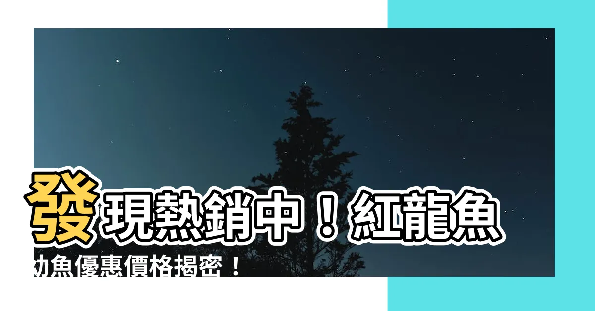【紅龍幼魚價格】發現熱銷中！紅龍魚幼魚優惠價格揭密！