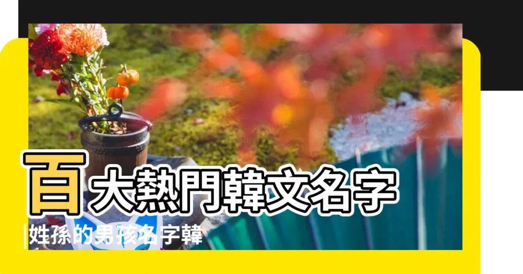 百大熱門韓文名字 |姓孫的男孩名字韓國 |姓孫韓國男孩名字大全 |【姓孫的男孩韓國名字】