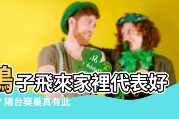 【鴿子飛來家裡代表什麼】鴿子飛來家裡代表好運？陽台築巢真有此事？