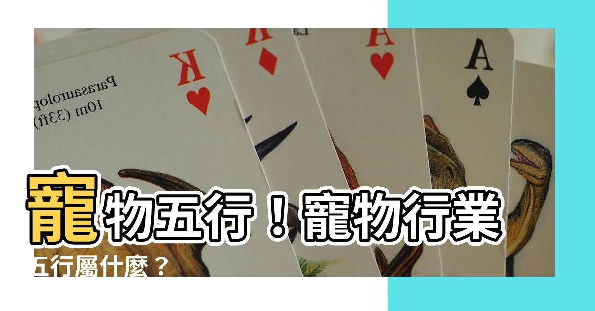 【寵物行業 五行】寵物五行！寵物行業五行屬什麼？