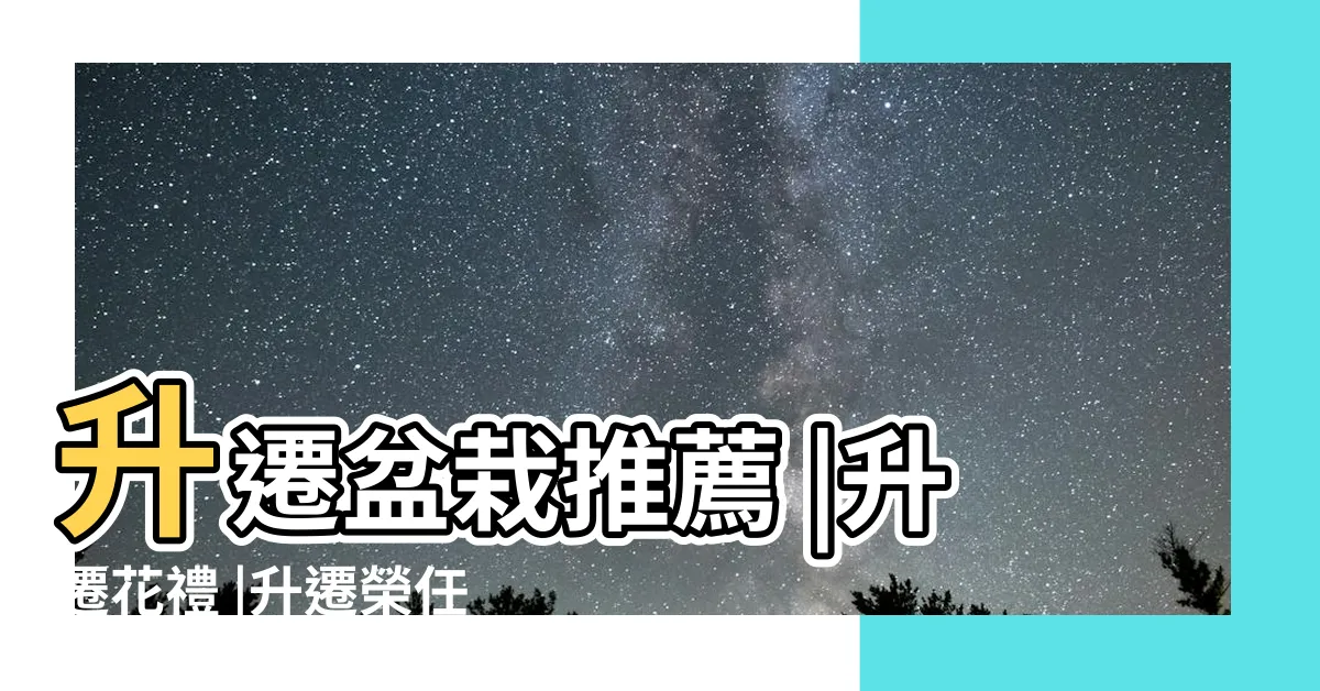 【升遷花盆】升遷盆栽推薦 |升遷花禮 |升遷榮任用桌花 |