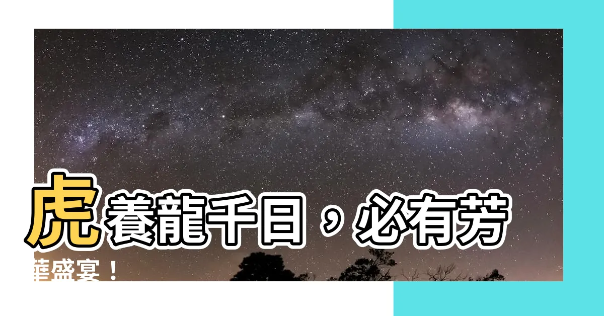【虎養龍】虎養龍千日，必有芳華盛宴！