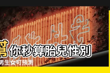 【如何測幾月生男女孩】幫你秒算胎兒性別 |生男生女可預測 |6種超準確土方法助你一臂之力 |