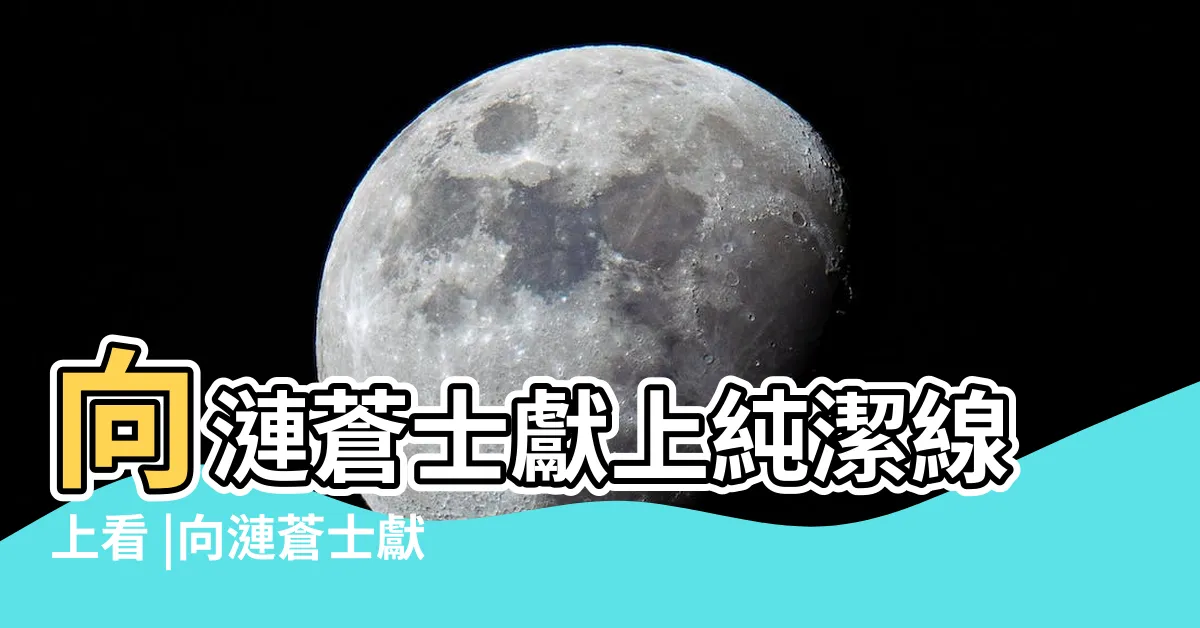 【將身體獻給漣蒼士】向漣蒼士獻上純潔線上看 |向漣蒼士獻上純潔 |為漣蒼士獻上純潔 |