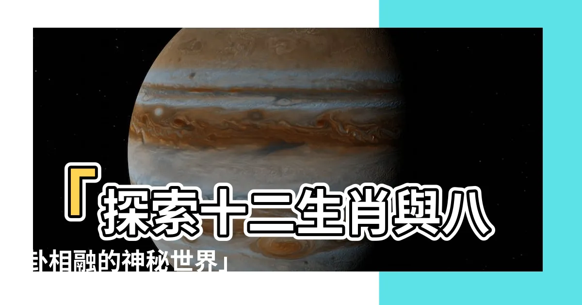 【十二生肖八卦】「探索十二生肖與八卦相融的神秘世界」