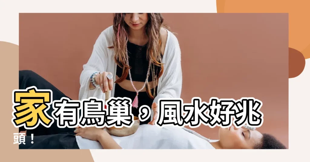 【家有鳥巢】家有鳥巢，風水好兆頭！