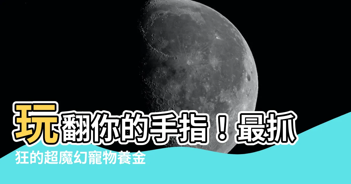 【養金魚遊戲】玩翻你的手指！最抓狂的超魔幻寵物養金魚遊戲