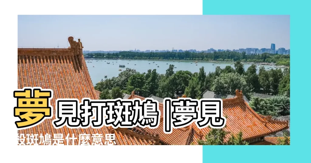 夢見打斑鳩 |夢見殺斑鳩是什麼意思 |夢到鳩是什麼意思 |【周公解夢夢見打死兩隻斑鳩】
