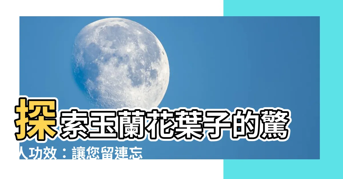 【玉蘭花葉子功效】探索玉蘭花葉子的驚人功效：讓您留連忘返的美麗秘密