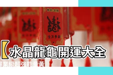 【水晶龍龜】【水晶龍龜開運大全】畢業級超強能量黃水晶龍龜，鎮宅旺財首選！