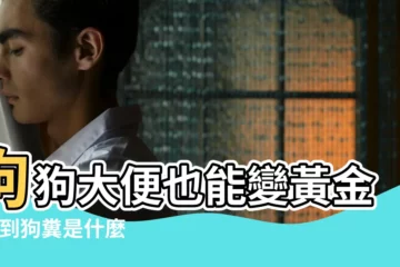 【2016年踩到狗屎】狗狗大便也能變黃金 |踩到狗糞是什麼預兆 |意想不到 |
