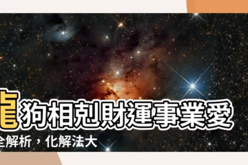 【龍與狗】龍狗相剋財運事業愛情全解析，化解法大公開