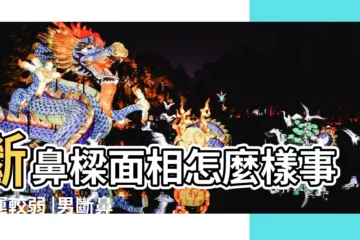 【男斷鼻樑是什麼樣】斷鼻樑面相怎麼樣事業運較弱 |男斷鼻樑面相 |斷鼻樑面相 |