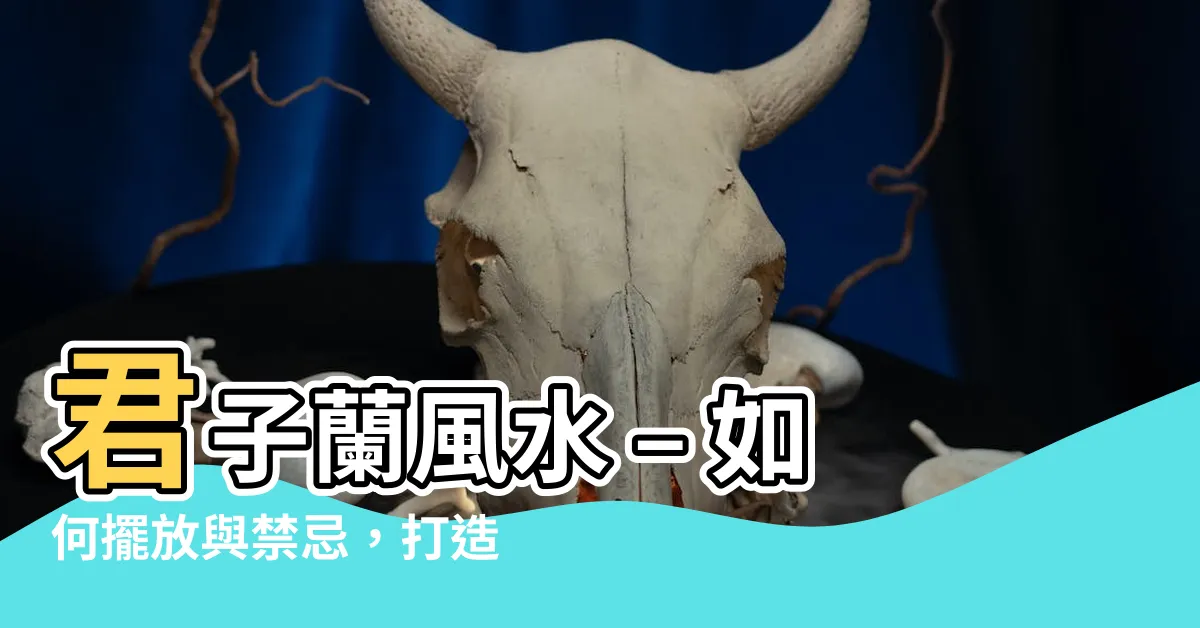 【君子蘭 風水】君子蘭風水 – 如何擺放與禁忌，打造家居的完美風水
