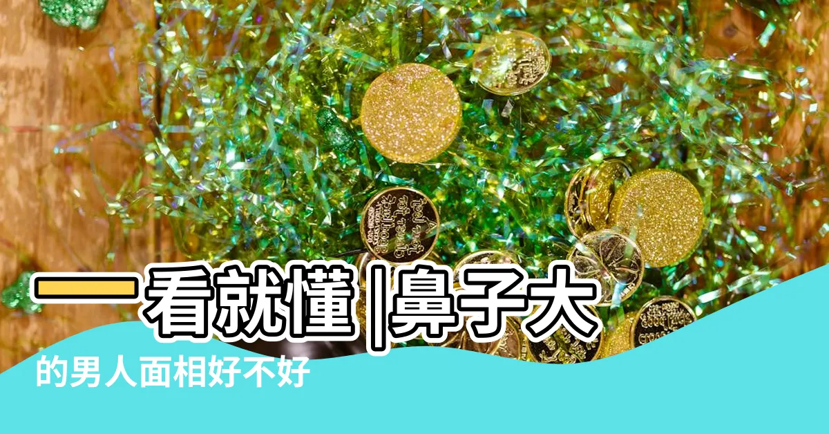 【面相男鼻子】一看就懂 |鼻子大的男人面相好不好 |男人的鼻子面相分析 |