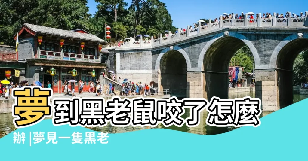 夢到黑老鼠咬了怎麼辦 |夢見一隻黑老鼠 |夢見一隻小黑老鼠 |【女人夢到一隻黑老鼠咬】