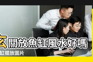 【進門風水放魚缸圖片】玄關放魚缸風水好嗎 |魚缸擺放圖片 |家進門放魚缸 |