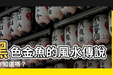 【黑色 金魚】黑色金魚的風水傳説，你知道嗎？