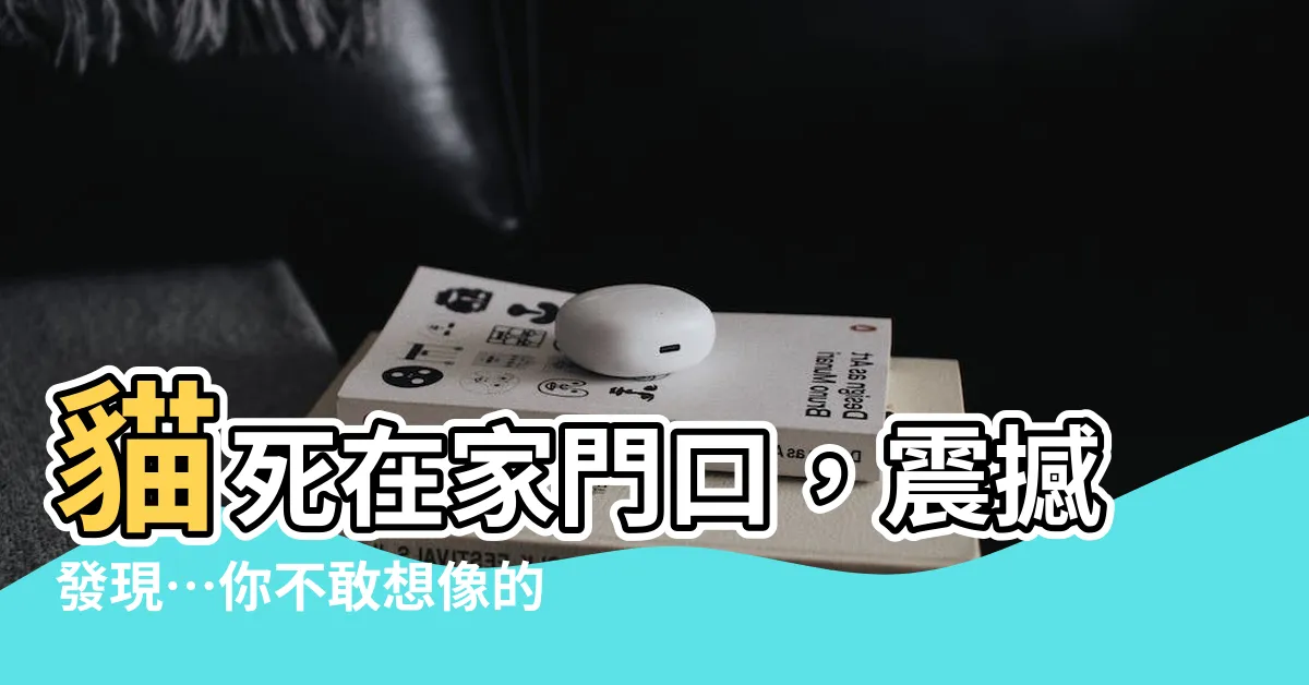 【貓死在家門口】貓死在家門口，震撼發現…你不敢想像的一幕！