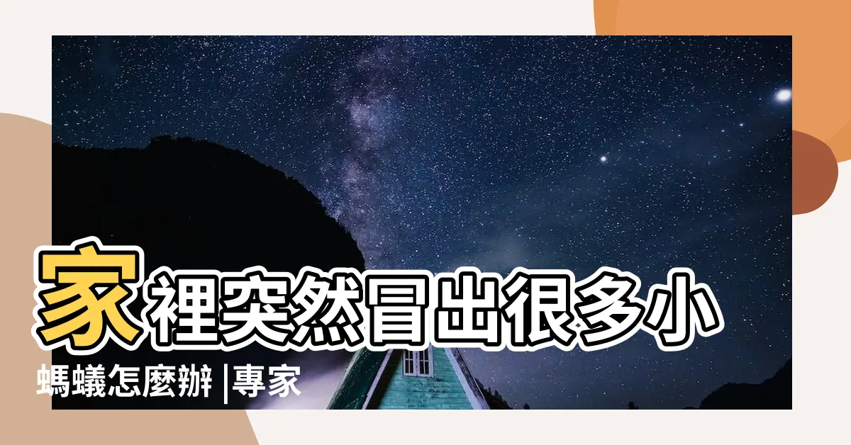 【家裡出現大螞蟻】家裡突然冒出很多小螞蟻怎麼辦 |專家分享4招驅蟲妙方 |滅蟲專家教3招徹底消滅 |