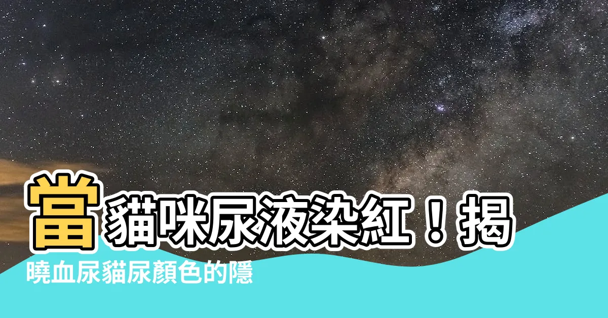 【血尿貓尿顏色】當貓咪尿液染紅！揭曉血尿貓尿顏色的隱藏危機