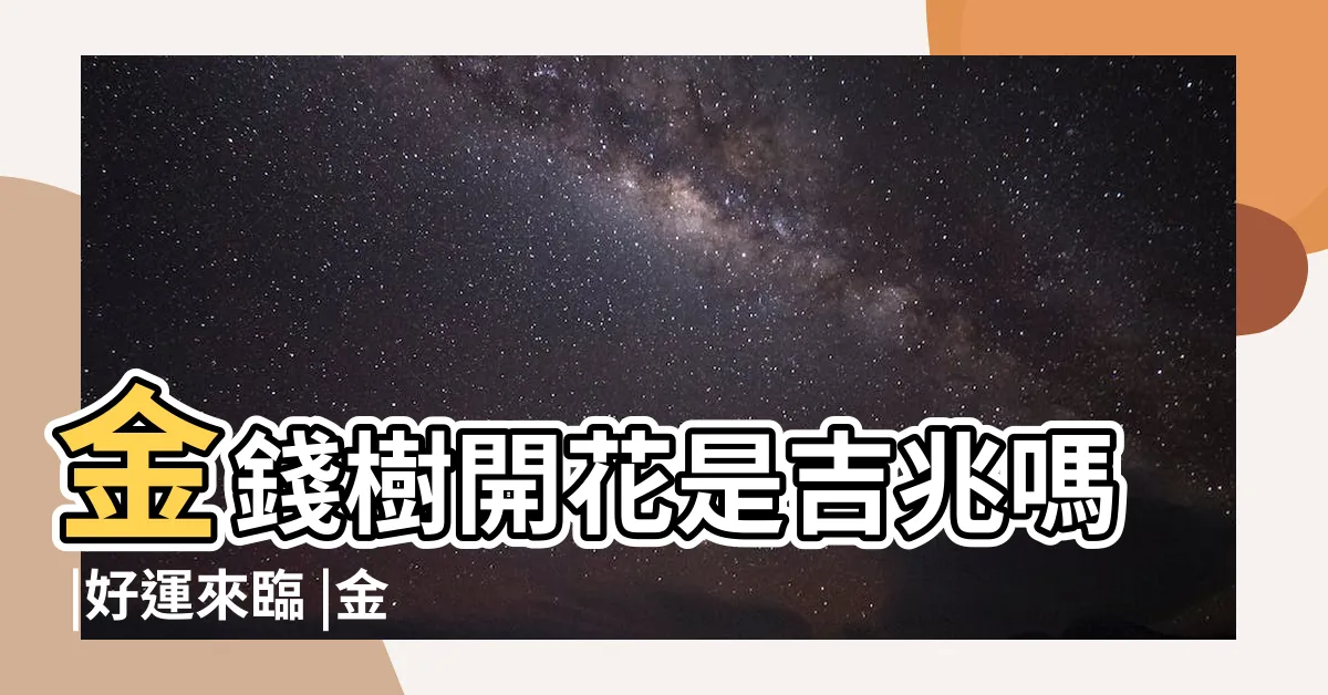 【金錢樹的花】金錢樹開花是吉兆嗎 |好運來臨 |金錢樹怎樣養護 |